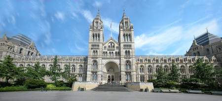 The Natural History Museum